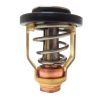 Termostat Yamaha, OMC, Johnson, Evinrude, Mercruiser, Selva, Suzuki