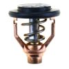 Termostat til Yamaha 	F300A • F350A