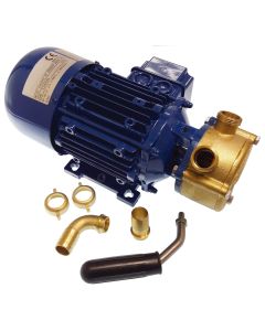 Elektronisk pump Golden Ship 12V 25L / min